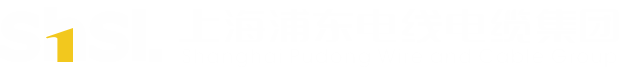 pp电子游戏试玩(中国)官方网站